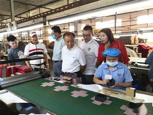 肇慶市僑聯(lián)深入僑青企業(yè)走訪(fǎng)調(diào)研
